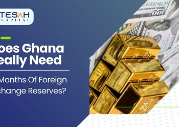 Does Ghana Really Need 15 Months of Foreign Exchange Reserves?