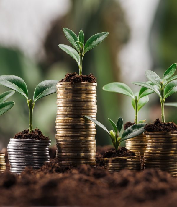 Tesah Growth Account Tesah Growth Account